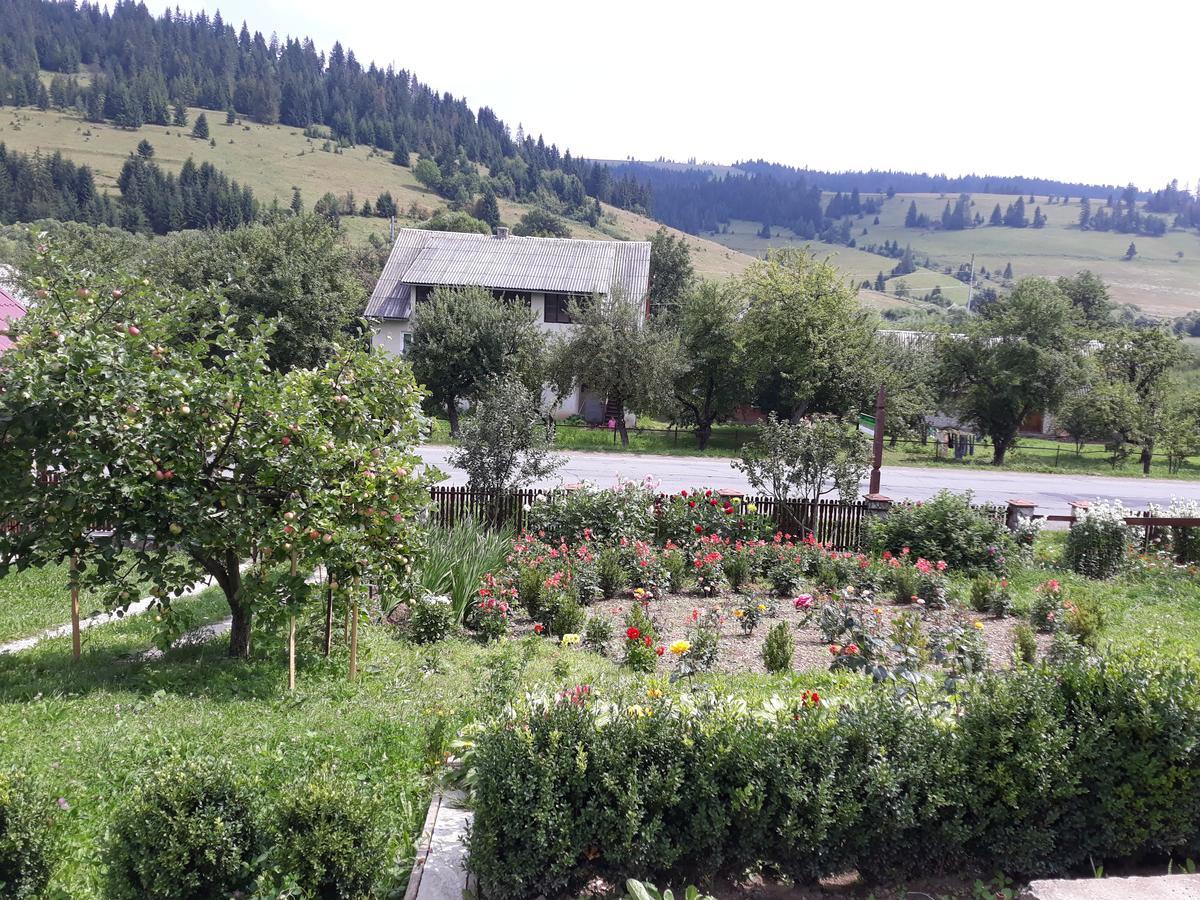Vila Anastasiya Izky Exteriér fotografie
